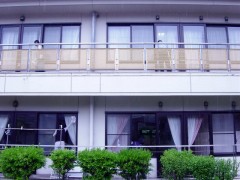 しょうしんかい