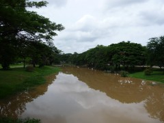 シェムリアップの川