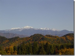 DSC04957 紅葉ドライブ 流葉4