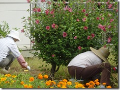サクサク… 手馴れた手つきです