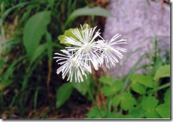 20100511 (2)