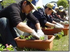 2010H220529 花苗植_北電・ライオンズ (13)