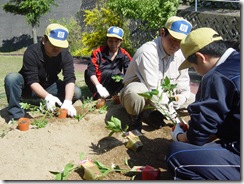 2010H220529 花苗植_北電・ライオンズ (16)