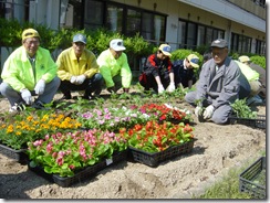 2010H220529 花苗植_北電・ライオンズ (19)