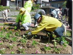 2010H220529 花苗植_北電・ライオンズ (21)