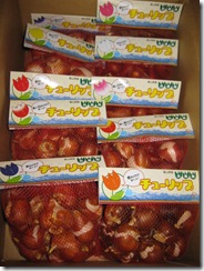 2010H221125 富山第一銀行チューリップ寄付 004