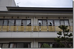 2010h221031 ころな会 (10)