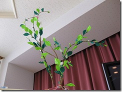 2011H230519 東デイ作品4