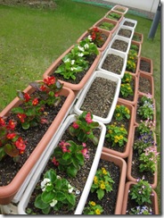 2011H230531 中日新聞花 004