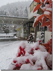 2012H241114 初雪