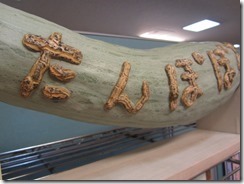 2013H250828 かぼちゃの看板 002