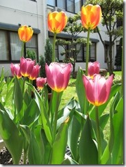 IMG_3917